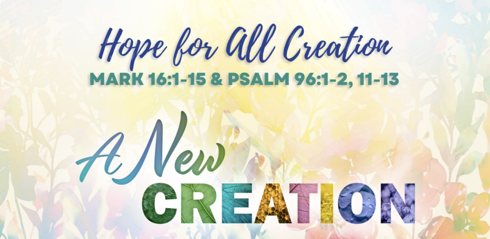 Hope for All Creation Image